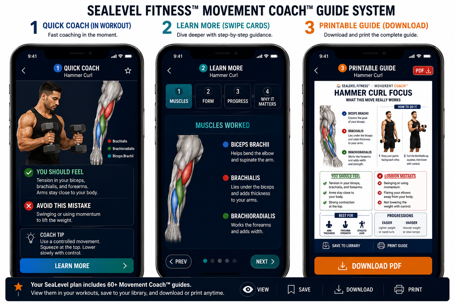 Sample SeaLevel Movement Coach guide
