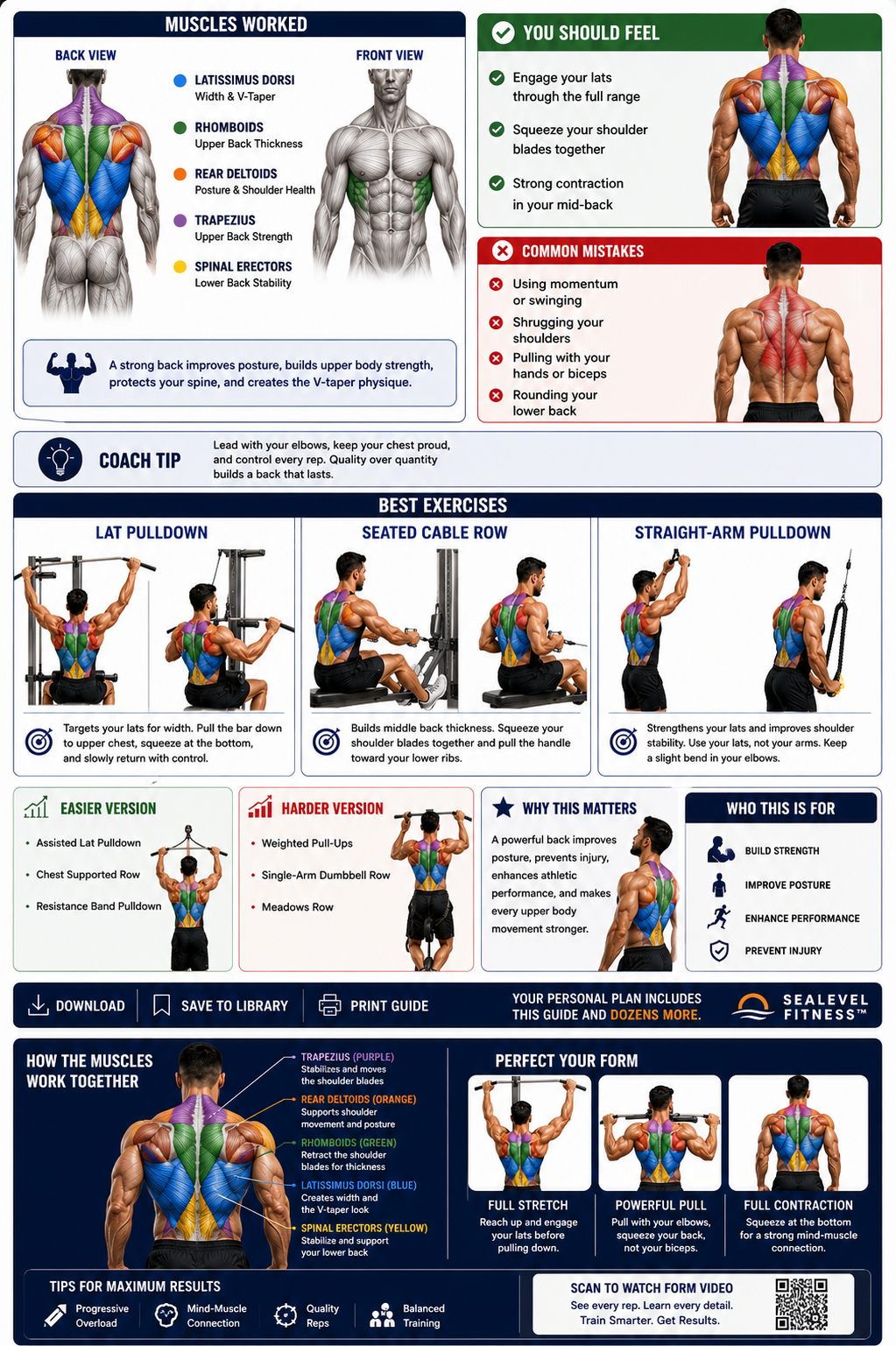 SeaLevel Movement Coach — Back Muscle Guide showing color-coded muscles worked, what you should feel, and common mistakes